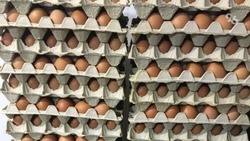Почти на 5% за неделю подорожали яйца на Ставрополье