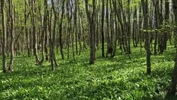 Пять экотроп Ставрополья готовят к приёму туристов