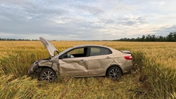 Пожилой водитель получил травмы после съезда машины с трассы в Грачёвском округе