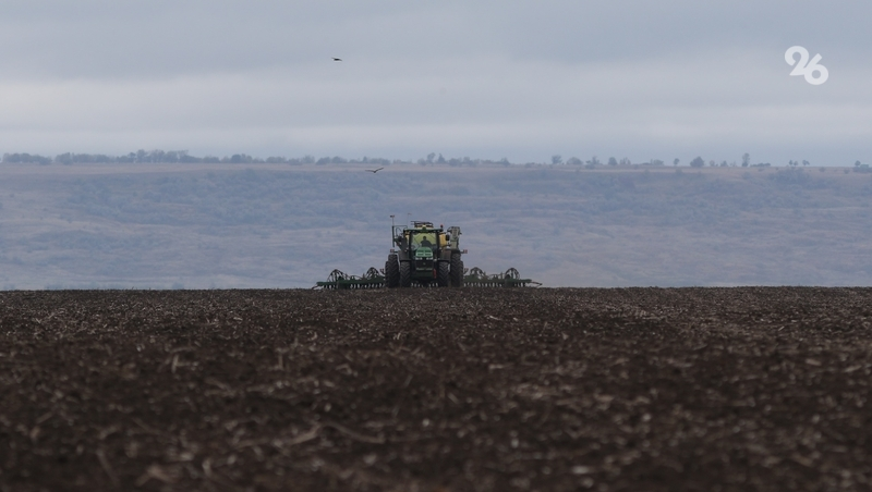Глава Ставрополья: Осенний сев озимых завершён на 86%
