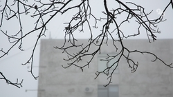 Жителей Ставрополья предупредили о заморозках до -5 градусов