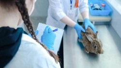 В Ставрополе состоялся финал Всероссийской студенческой олимпиады по ветеринарии