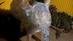 Слон из пластиковых бутылок украсит Ставрополь в День города