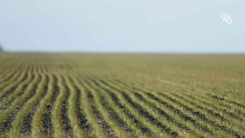 Ставропольским аграриям снизят стоимость воды для орошения и рыборазведения
