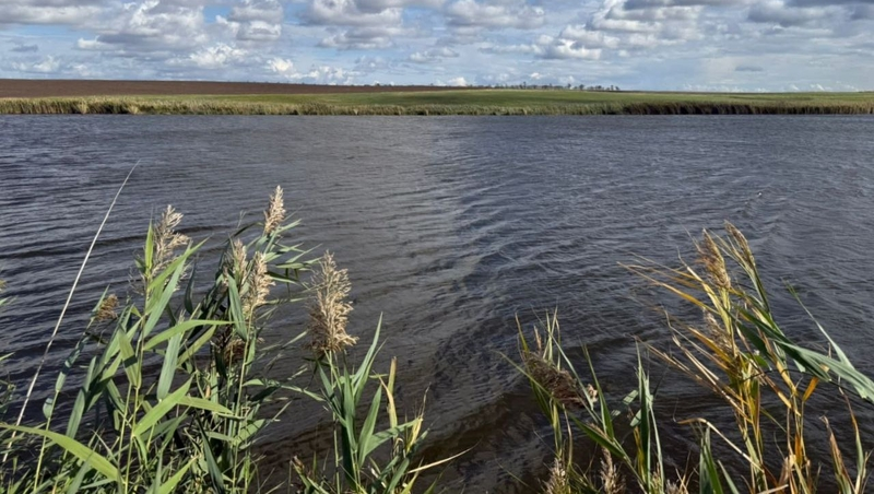 Суд вернул землю с прудом на Ставрополье в федеральную собственность