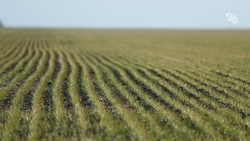 Фермер-блогер из Дагестана рассказал, почему уехал из большого города