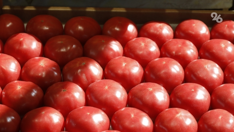 Почти на 19% за неделю взлетела цена помидоров на Ставрополье 