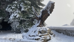 Ставрополье оказалось на 55 месте общероссийского экорейтинга