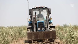 Трактор и культиватор закупят для лесхоза на Ставрополье