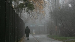 Российский психолог: прогулки и общение с близкими помогают при осенней хандре