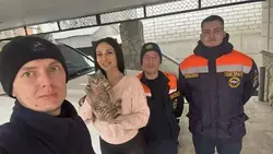 В станице Ессентукской спасатели освободили кошку, застрявшую в бытовом приборе