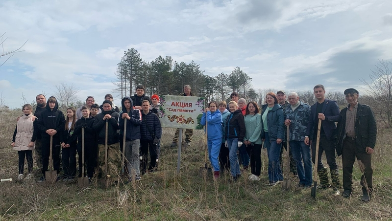 Более 1 тыс. деревьев посадили во время акции «Сад памяти» на Ставрополье