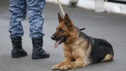 Сообщения о минировании отделов МВД поступили в Кисловодске