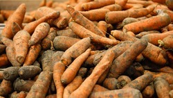 Картофель, морковь и баранина подорожали на Ставрополье за неделю  