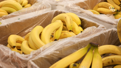 Больше чем на 5% подорожали бананы на Ставрополье