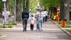 Свыше 160 кисловодских семей решили участвовать во всероссийском конкурсе