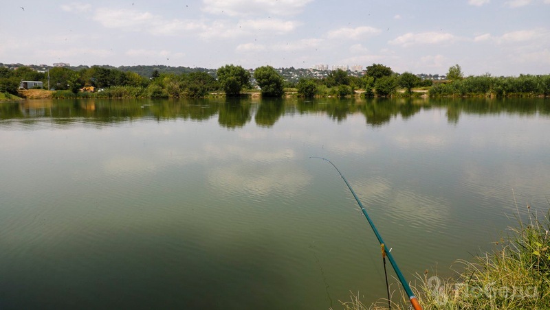 Соревнования по рыбной ловле пройдут в Ипатовском округе