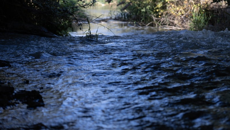 Гидролог Фролова прогнозирует рост больших наводнений на Северном Кавказе
