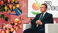  Установили рекорд и пошли дальше: какое будущее ждёт ставропольских садоводов