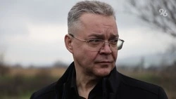 Глава Ставрополья строит целостную систему в сфере АПК — политолог Корякин