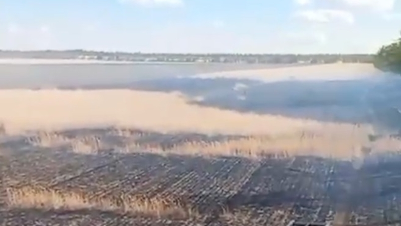 Почти 3 га пшеницы пострадали от огня в Туркменском округе