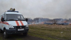 Около 300 га сухой растительности сожгли в Ставрополе 