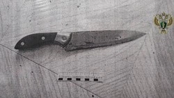 Пятигорчанин получил 14 лет колонии за убийство мужчины и покушение на его жену 