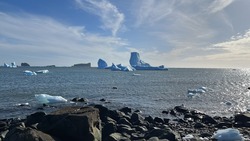 Полярников российской станции в Антарктиде обеспечили мобильной связью