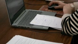 Россияне могут подтверждать гражданство детей по рождению в электронной форме