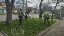 В Ставрополе скосили более 690 тыс. кв. метров травы