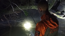 Более 425 км обошли волонтёры «ЛизаАлерт» в поисках пенсионера из Ставрополя