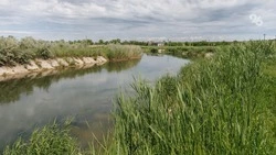 260 субботников на реках и водоёмах прошли на Ставрополье с марта