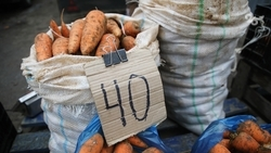 Более 800 рейдов по пресечению незаконной торговли провели на Ставрополье 