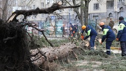 Аварийные бригады устраняют последствия разбушевавшейся на Ставрополье стихии 