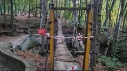 Подвесной мост в Таманском лесу отремонтируют до конца октября