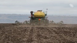 Более 900 тыс. га засеяли яровыми культурами на Ставрополье