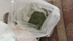 Транспортная полиция изъяла у безработного жителя Невинномысска 600 г наркотиков