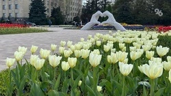 Четыре рабочих и три выходных дня ждут ставропольцев на следующей неделе