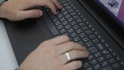 Ставрополье чаще всего на Северном Кавказе подвергалось DDoS-атакам в 2025 году