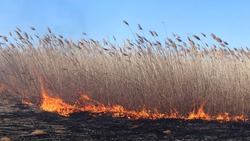 На Ставрополье за сутки потушили 23 ландшафтных пожара 