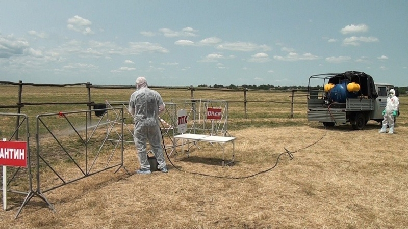 Специалисты шести регионов поучаствовали в учениях ветслужб на Ставрополье