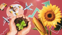 Снизить зависимость от импортных семян, расширить мелиорацию: о чём говорили на конференции в пресс-центре ТАСС в Ставрополе