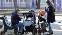 Почти 18,5 тысячи ставропольских семей получили повышенную выплату на первого ребёнка в 2022 году