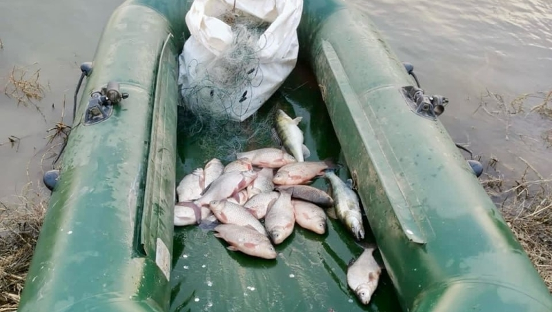 Ставропольские браконьеры заплатят за 398 карасей 100 тыс. рублей