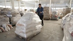 75 пунктов сбора помощи пострадавшим в Дагестане открылись на Ставрополье