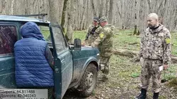 В заказнике «Стрижамент» прошёл рейд против браконьерского сбора черемши