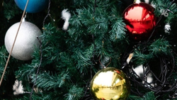 За рисунки «Ёлок Победы» ставропольцев можно проголосовать на сайте Музея Победы