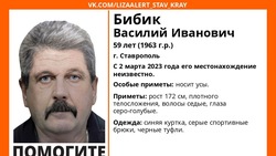 Седой мужчина с усами пропал в Ставрополе