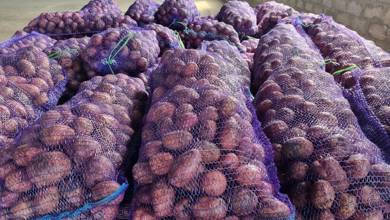 Тонну картофеля отправили бойцам СВО из Предгорного округа