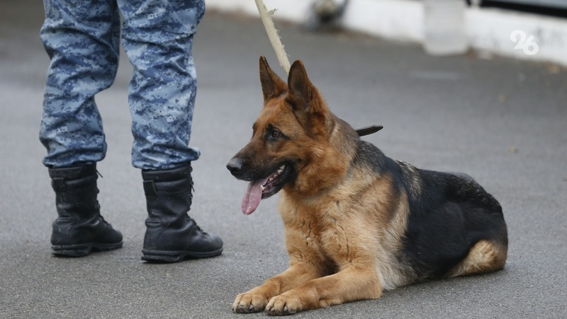 Суд в Кисловодске проверяют по сообщению о минировании